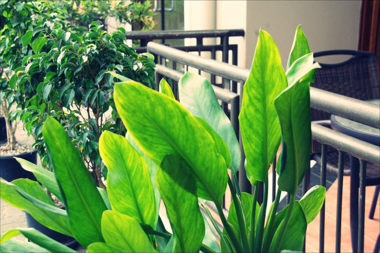 Citi Serviced Apartments & Motel - Lagatoi Place Port Moresby Dış mekan fotoğraf